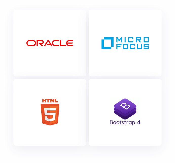home_webdeveloper_pic11
